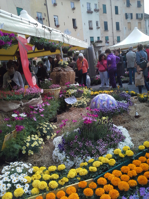 Fiera Fiori S. Zita Lucca 2015