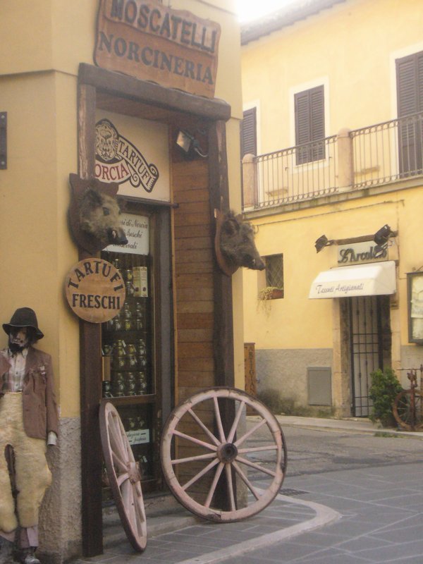 Foto Album Ospiti_Viaggi