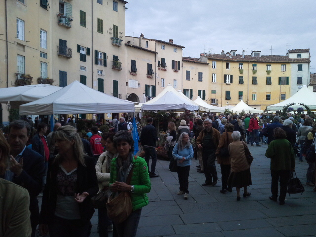 Muoversi a Lucca in bici