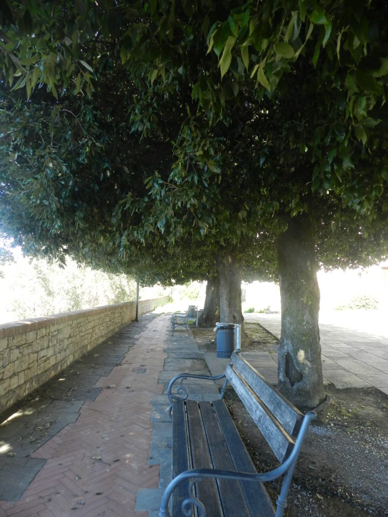 Pieve Elici 1 1