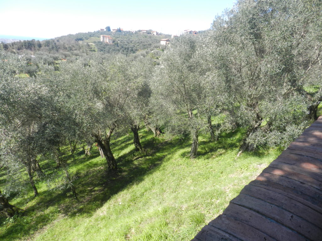 Pieve Elici 2 2