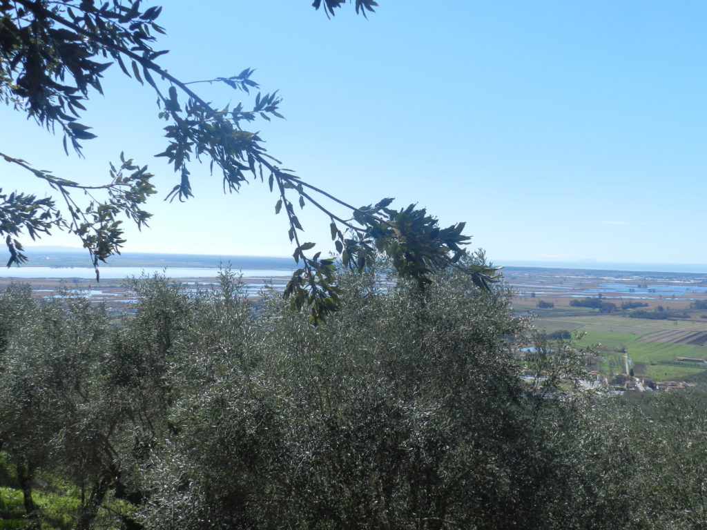 Pieve Elici 3 1