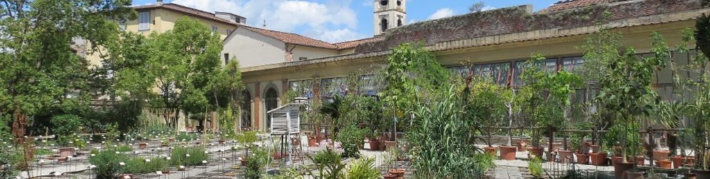 scuola botanica piante medicinali