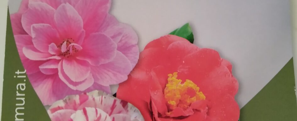 IMG 20230328 142854