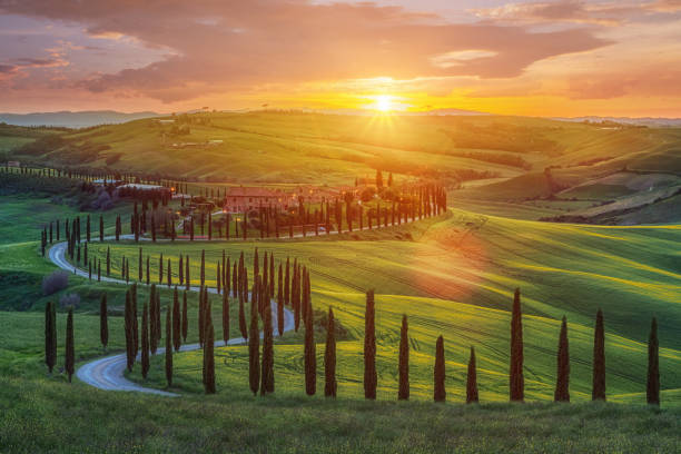 istockphoto 1150030069 612x612 1