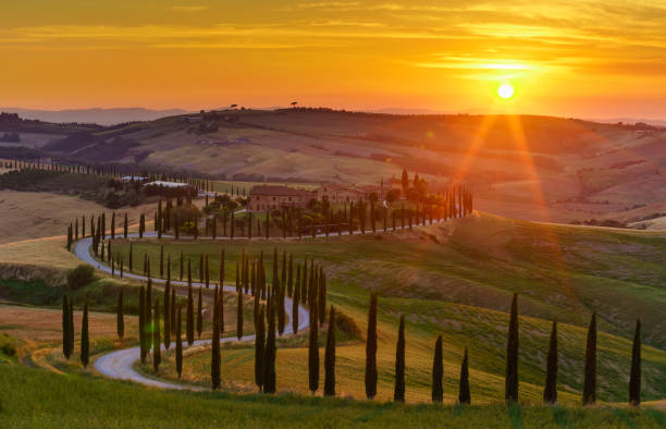 istockphoto 802272982 612x612 2