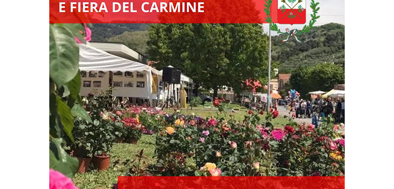 festa del carmine