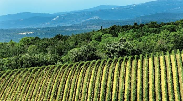 montecucco